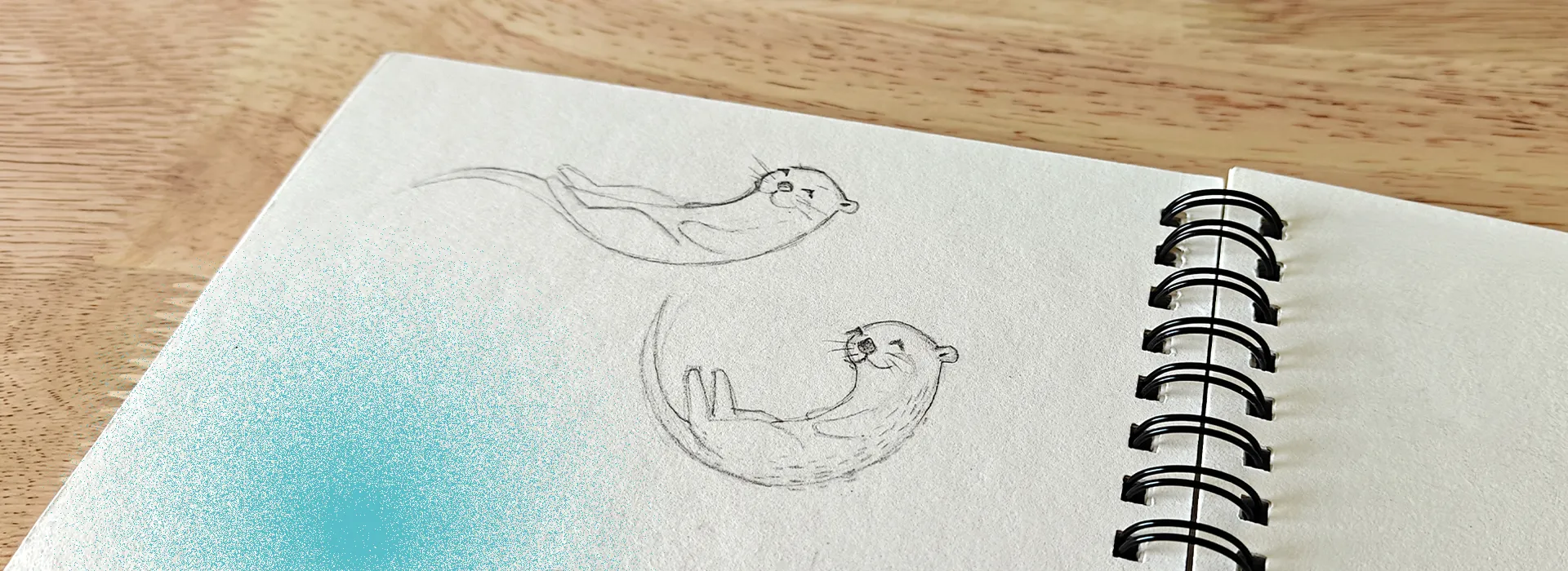 La loutre qui brille