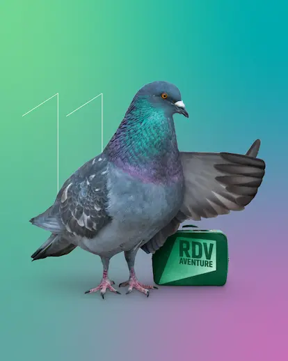 Le pigeon voyageur : création de l'identité visuelle du festival Les Rendez-vous de l’Aventure à Lons-le-Saunier