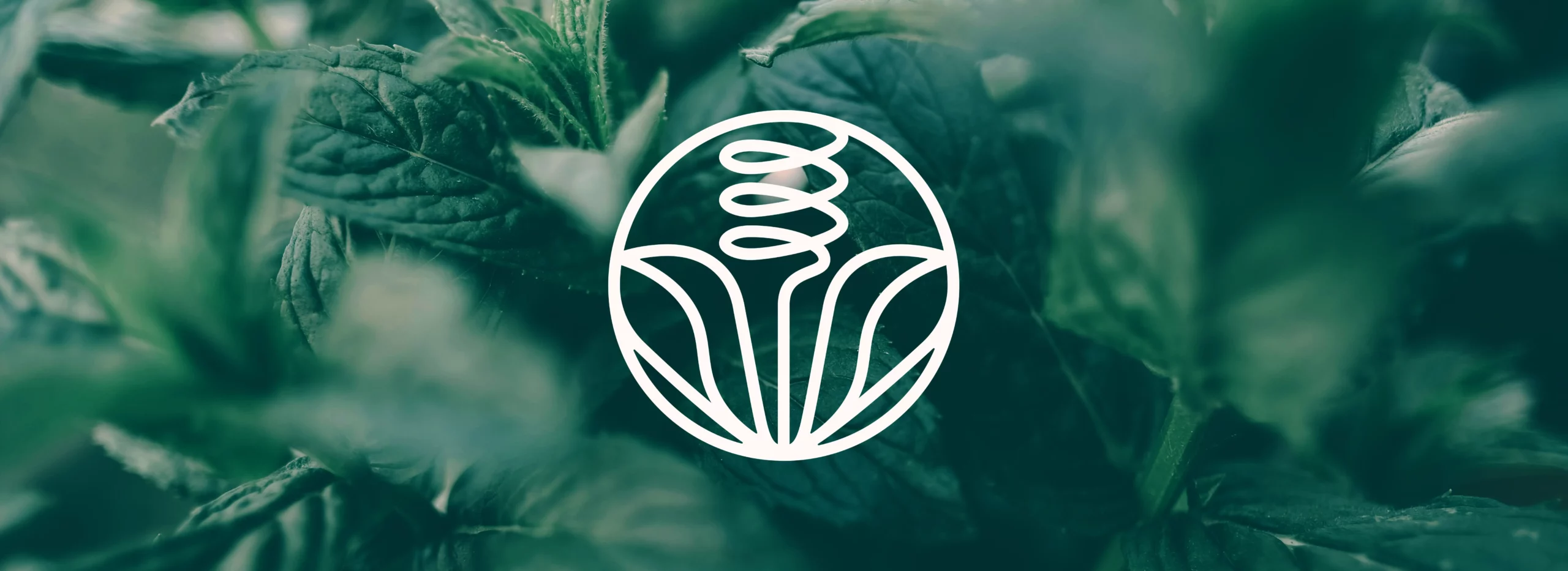 Alchimie Botanic